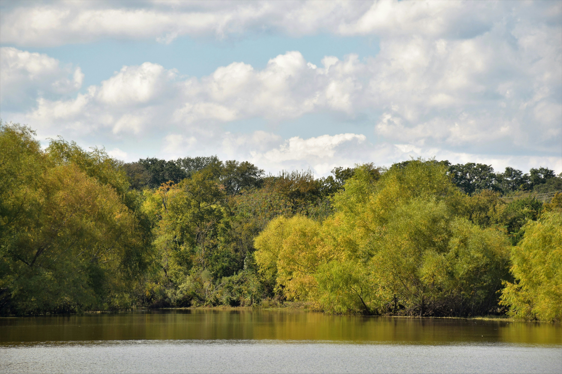 Scenic view of a calm river surrounded by trees similar to the Rock River in Watertown WI