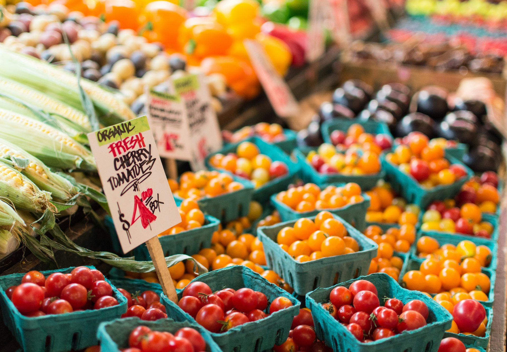 Fresh produce displayed at the Watertown Wisconsin farmers market