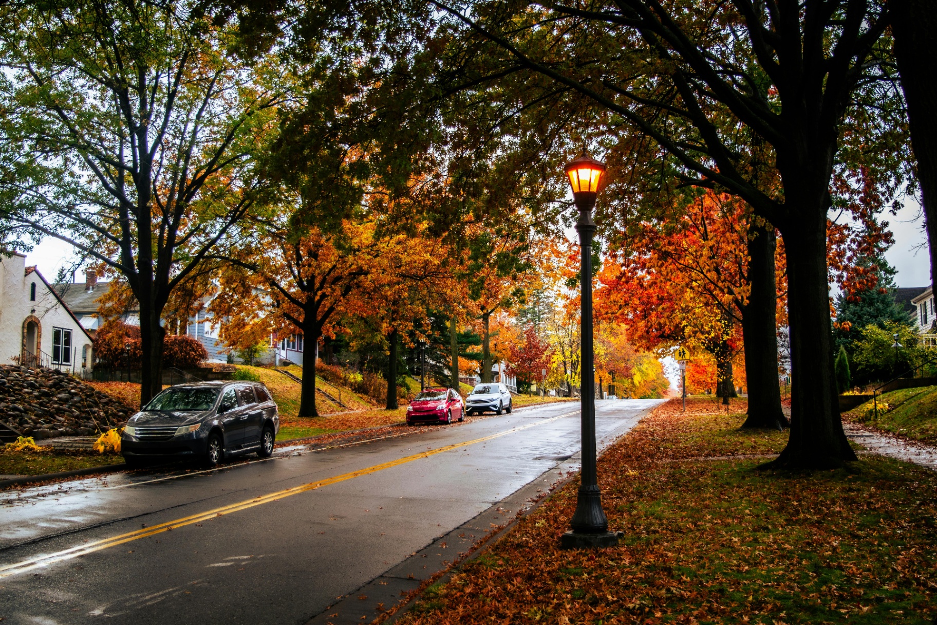 Tree-lined residential street in Watertown, WI during fall with colorful autumn foliage